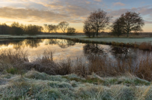 Bure Park Reflections