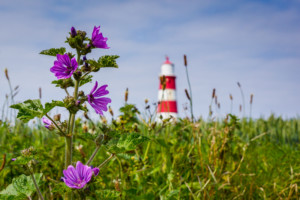 Happisburgh Lighthouse, Norfolk