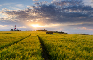 Happisburgh Lighthouse