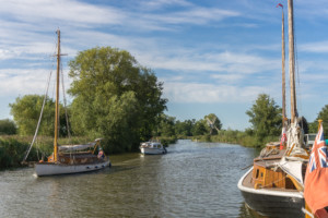 Boats on the River Ant