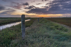 Breydon Water