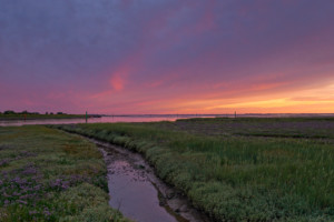 Breydon Water Sunset