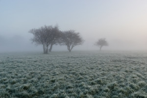 Frosty Bure Park