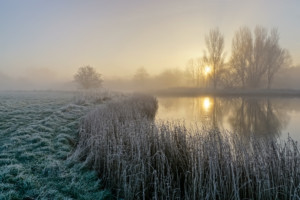 Frosty Bure Park at Sunrise
