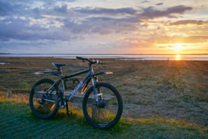 Cycling Breydon Water