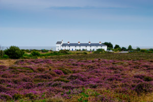 Dunwich Heath