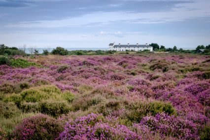 Dunwich Heath