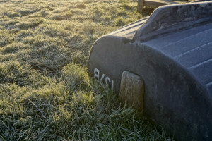 Frosty Boat and Grass