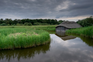 Hickling Broad - Boathouse