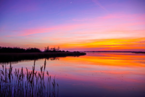 Horsey Mere at Sunset