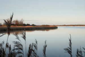 Horsey Mere in Winter