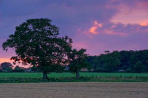 Candy Floss Sky over Norfolk