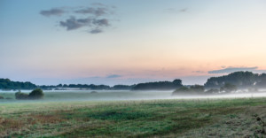 Reydon Mist