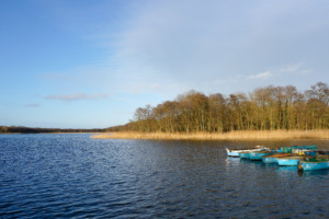 Rollesby Broad