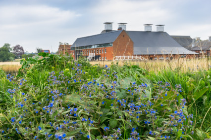 Snape Maltings