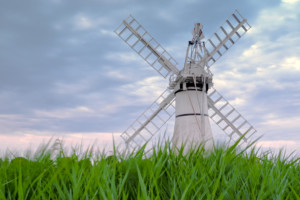 Green Reeds at Thurne