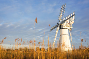 Winter reeds at Thurne