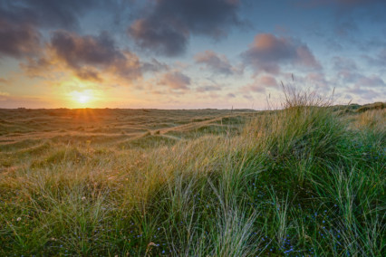 Winterton Dunes