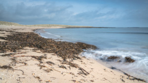 Low Newton-by-the-Sea