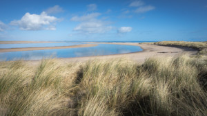 Budle Bay