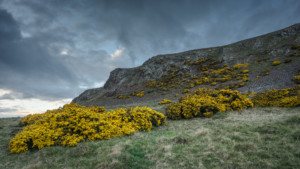 Mire Loch