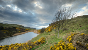 Mire Loch