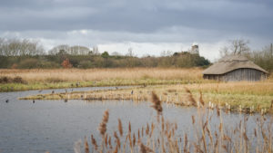 Hickling Broad