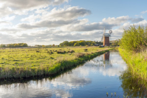 Horsey Windpump