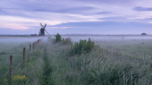 Misty Herringfleet Mill